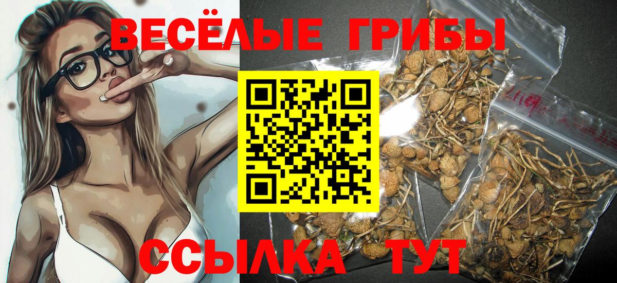 Псилоцибиновые грибы Psilocybe  Вход с VPN  Галлюциногенные грибы GOLDEN TEACHER  Канаш 